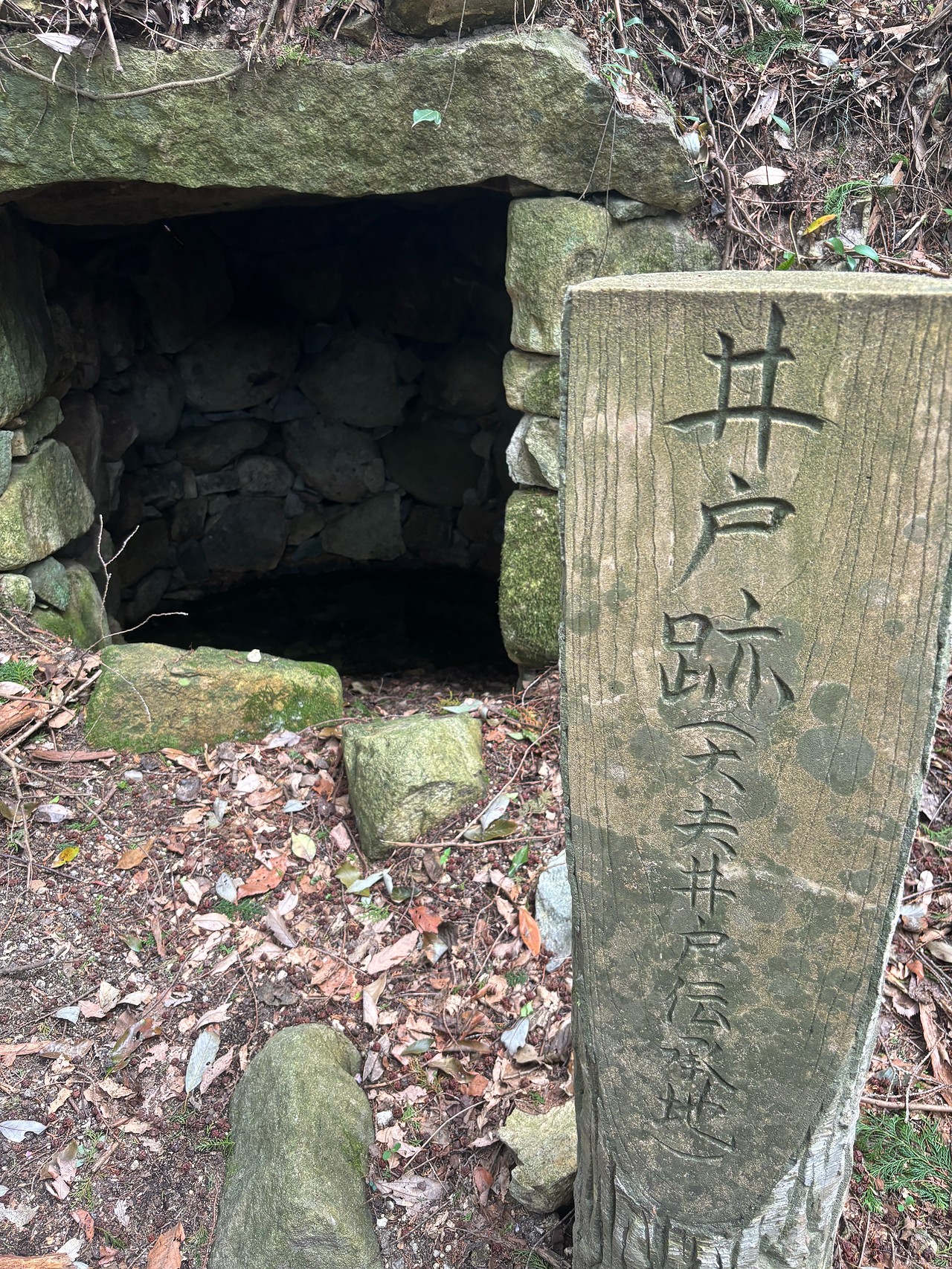 観音寺城-1