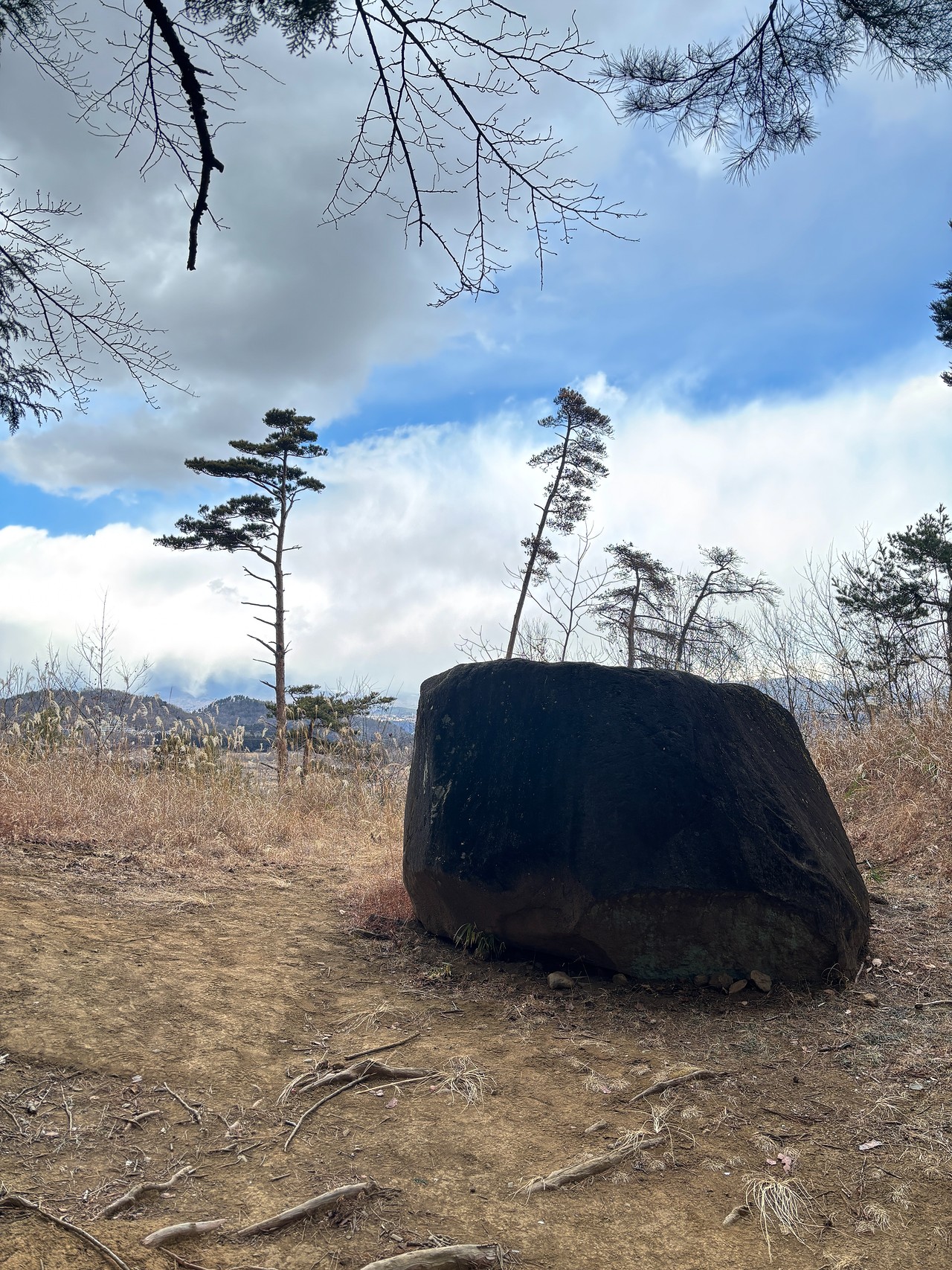 新府城-5