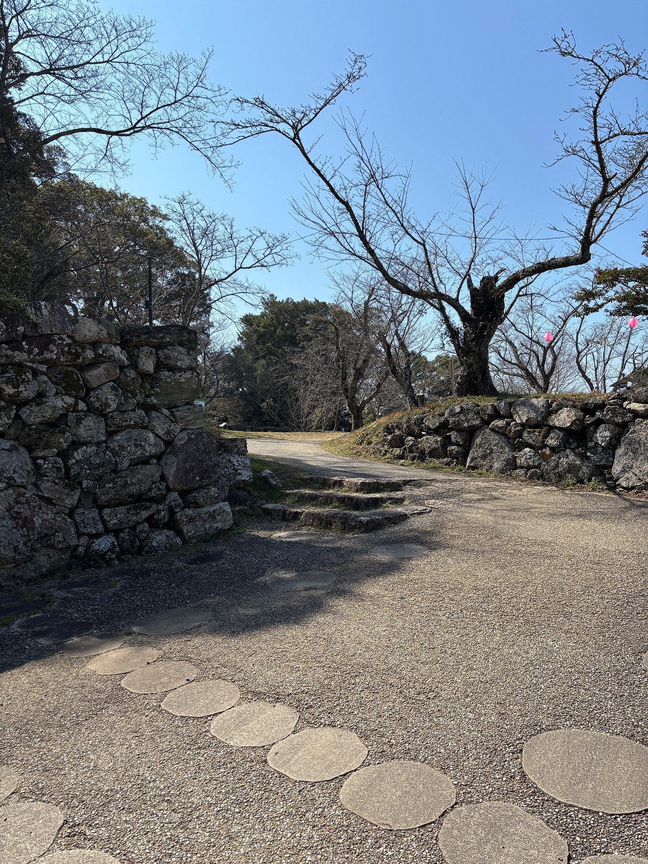 田丸城-1
